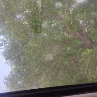 لیفان x60 با شرایطی خوب|خودرو سواری و وانت|اصفهان, شهرک میلاد|دیوار