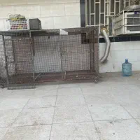 قفس آهنی مرغ و کبوتر|لوازم جانبی حیوانات|خرمشهر, |دیوار