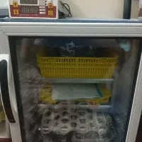 دستگاه جوجه کشی  بلدر چین دماوند