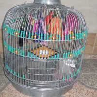 قفس گرد