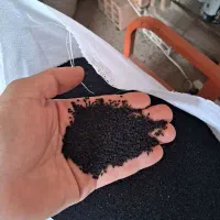 تولید و فروش عمده روغن سیاهدانه