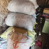 زغال دروشت|عمده‌فروشی|ایذه, |دیوار