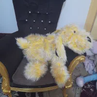 عروسک|اسباببازی بچه|مشهد, شهید معقول|دیوار