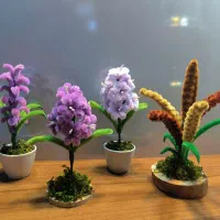 سنبل / سنبل عید / هفت سین گل پیپ پاکن / گل جاودان