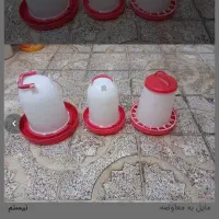 جای دون بوقلمون