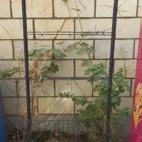 استند و ویترین شیشه ای سوپرمارکتی