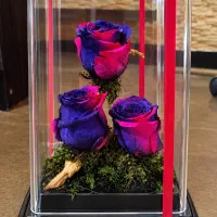 رز جاودان اصل سه شاخه داخل باکس