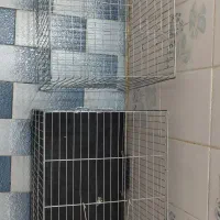 دوتا قفس پرنده درحدنو