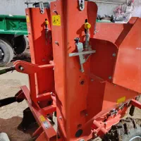 سیب زمینی کار سبز دشت