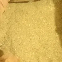 خاک طلا