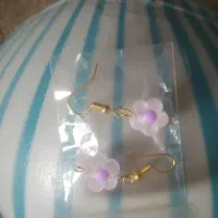 گوشواره پیدا شده