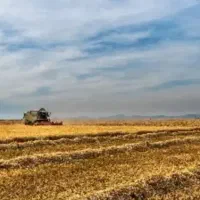 زمین کشاورزی کنار اتوبان