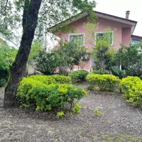 ویلا دربست دو خوابه جنگلی کنار رودخانه|اجارهٔ کوتاه‌مدت ویلا و باغ|چالوس, |دیوار