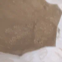 خوراک  طیور