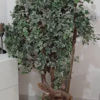 درختچه|گل مصنوعی|تهران, قصر فیروزه ۲|دیوار