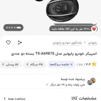 اسپیکر پایونیر