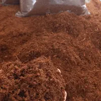 خاک کوکوپیت بستر حلزون وخزندگان