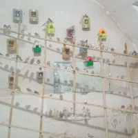 فنج فروشی|پرنده|اقبالیه, |دیوار