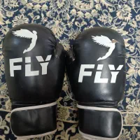 دستکش بوکس فلFLY
