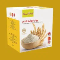 پودر جوانه گندم
