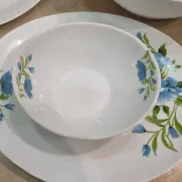 ۴دست آرکوپال فرانسه