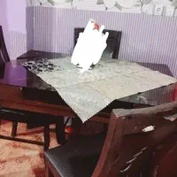 میزو صندلی 4نفره|میز و صندلی غذاخوری|خان ببین, |دیوار