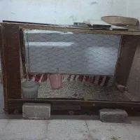 قفس بزرگ|لوازم جانبی حیوانات|زنجان, |دیوار