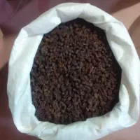 کشمش خوب و تمیز برای فروش|عمدهفروشی|لیلان, |دیوار