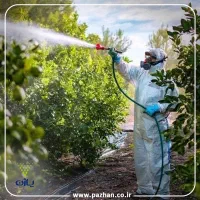 سمپاشی تخصصی باغ