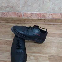 کفش مجلسی و نیم بوت|کیف، کفش، کمربند|مهاباد (آذربایجان غربی), |دیوار