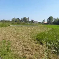 200متر-زمین-داخل-طرح-روستایی-خشکبیجار-پارسه
