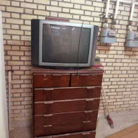 دارو چوبی وتلویزیون