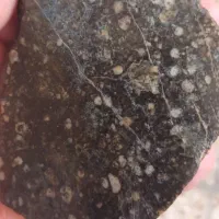 شهاب‌سنگ قمری ظفار عمان|کلکسیون اشیاء عتیقه|تهران, سازمان برنامه جنوبی|دیوار