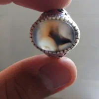 انگشتر نقره