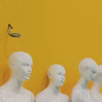 مانکن بچگانه زنانه نیم تنه چوبکار رگال هالوژن ریلی|فروشگاه و مغازه|بروجرد, |دیوار