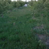 باغچه-عسکر-آباده-تپه