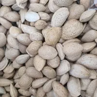 آجیل بادام زمینی بادام درختی گردو مغز گردو انجیر|خوردنی و آشامیدنی|قم, زنبیل آباد|دیوار