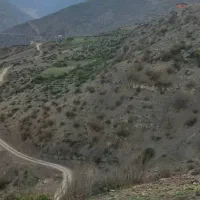 ۱۷۰۰ زمین در آلاشت|فروش زمین و ملک کلنگی|آلاشت, |دیوار