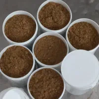 پودرحلوای گیاهی معجزه‌ بارداری‌
