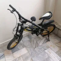 دوچرخه ساز ۱۰ بچه گانه