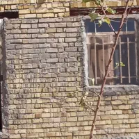 باغ تازه ساخت2کله4300مترلب جاده مجانی|فروش دفتر صنعتی، کشاورزی، تجاری|قره پشتلو, |دیوار