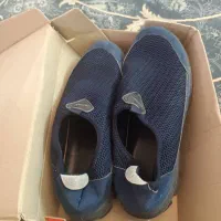 کفش اسکیچرز