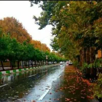 204-متری-محدوده-آزادی-ارم