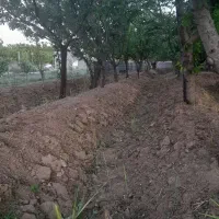 باغچه ۵۰۰متری پیشک۲|فروش زمین و ملک کلنگی|ماهدشت, |دیوار