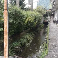 اپارتمان-شهرکی-ویو-جنگل