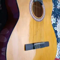 گیتار فروشی|گیتار، بیس، امپلیفایر|بندرعباس, |دیوار