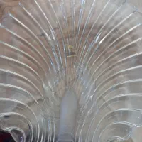 میوه خوری