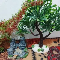 ۳ تیکه لوازم آکواریوم