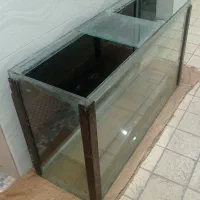 آکواریوم|ماهی|تهران, قیطریه|دیوار