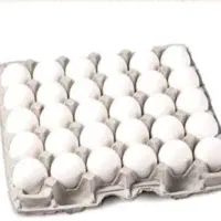 تخم مرغ